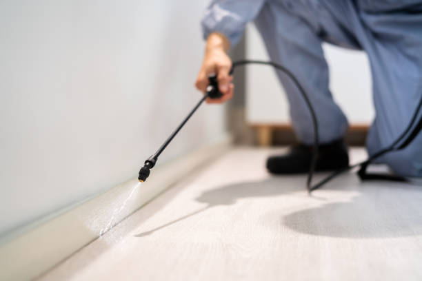 Licensed Mosquito Control service in Bernice, LA - Show Me Pest Control