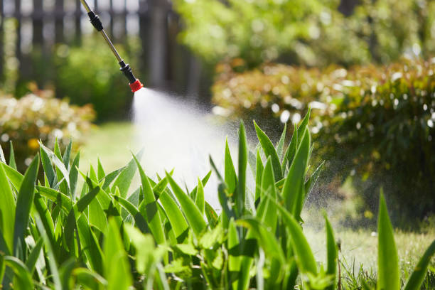 24/7 Emergency Mosquito Control experts in Bernice, LA